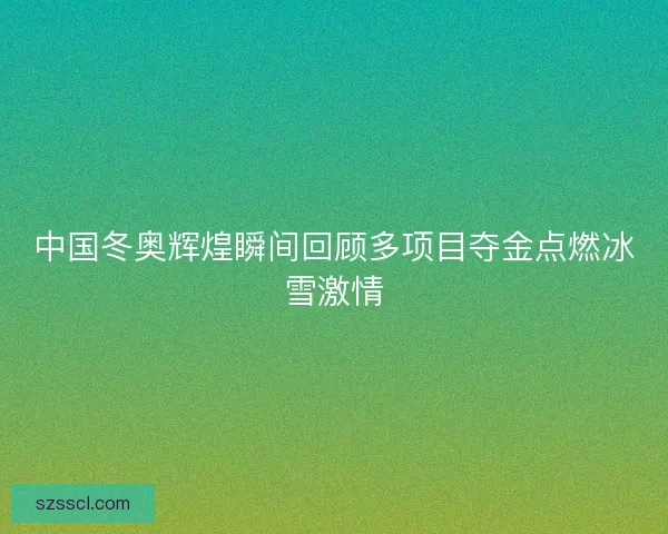 中国冬奥辉煌瞬间回顾多项目夺金点燃冰雪激情